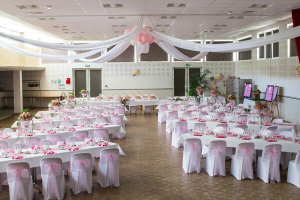 Noeuds chaises organza