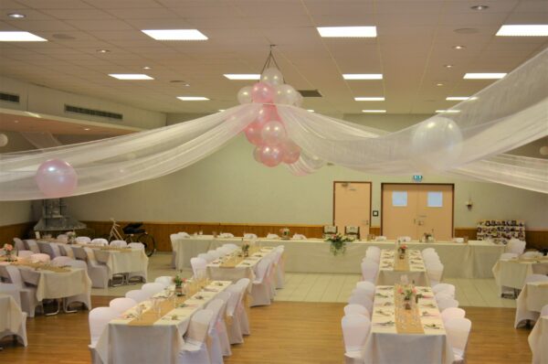 Tenture organza – Image 3