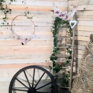 Roue en bois