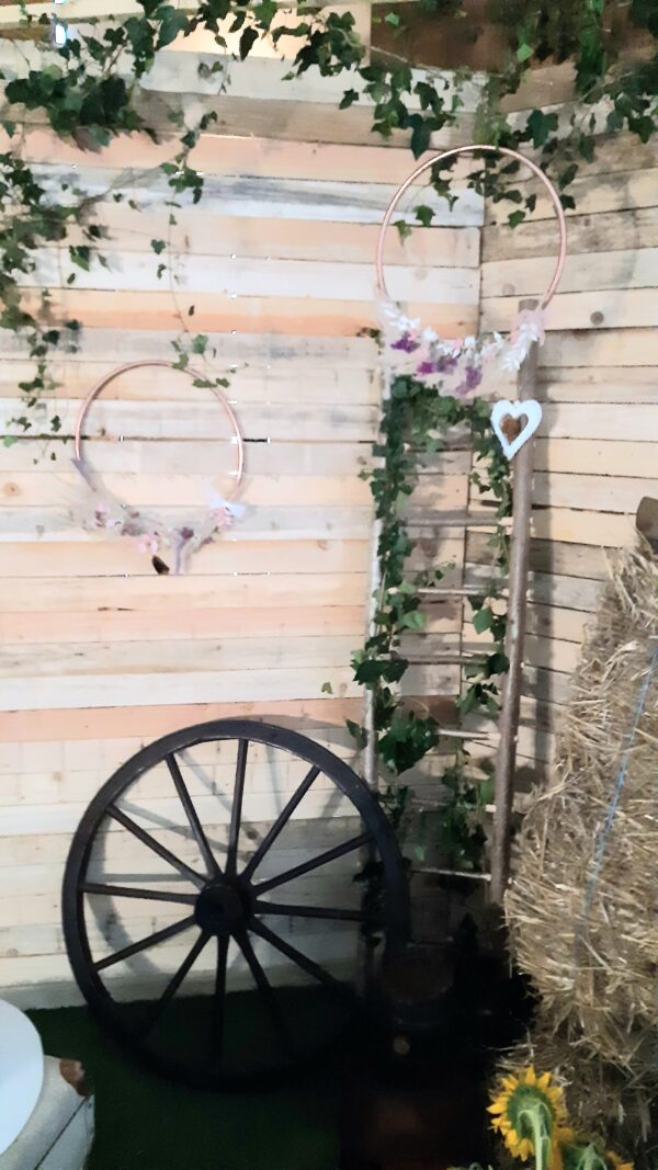 Roue en bois