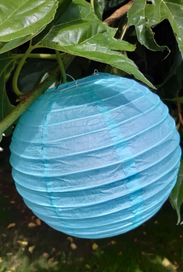 Lampions – Image 2