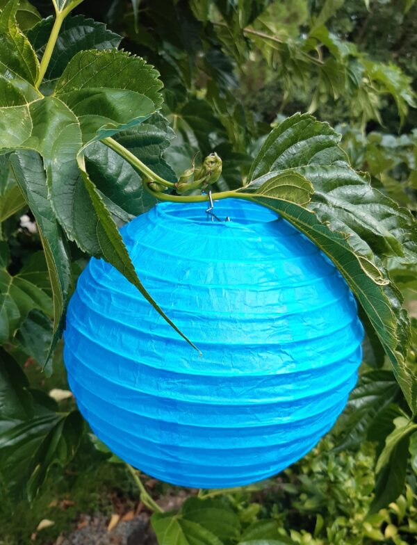 Lampions – Image 3