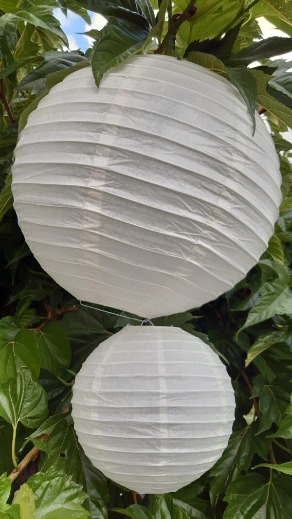 Lampions
