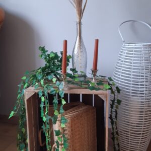 Chute de lierre