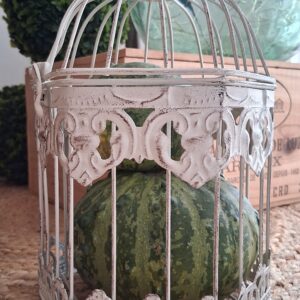 Cage métal blanc