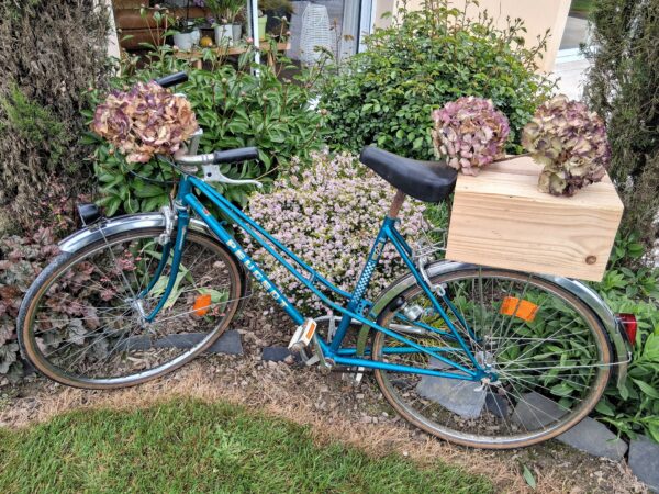 Vélo vintage – Image 3