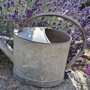 Arrosoir zinc vintage