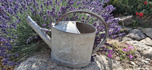 Arrosoir zinc vintage