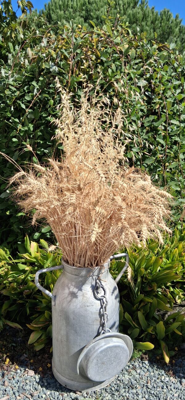 Pot lait – Image 2